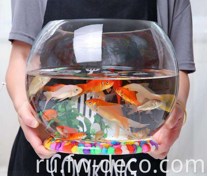 fish bowl